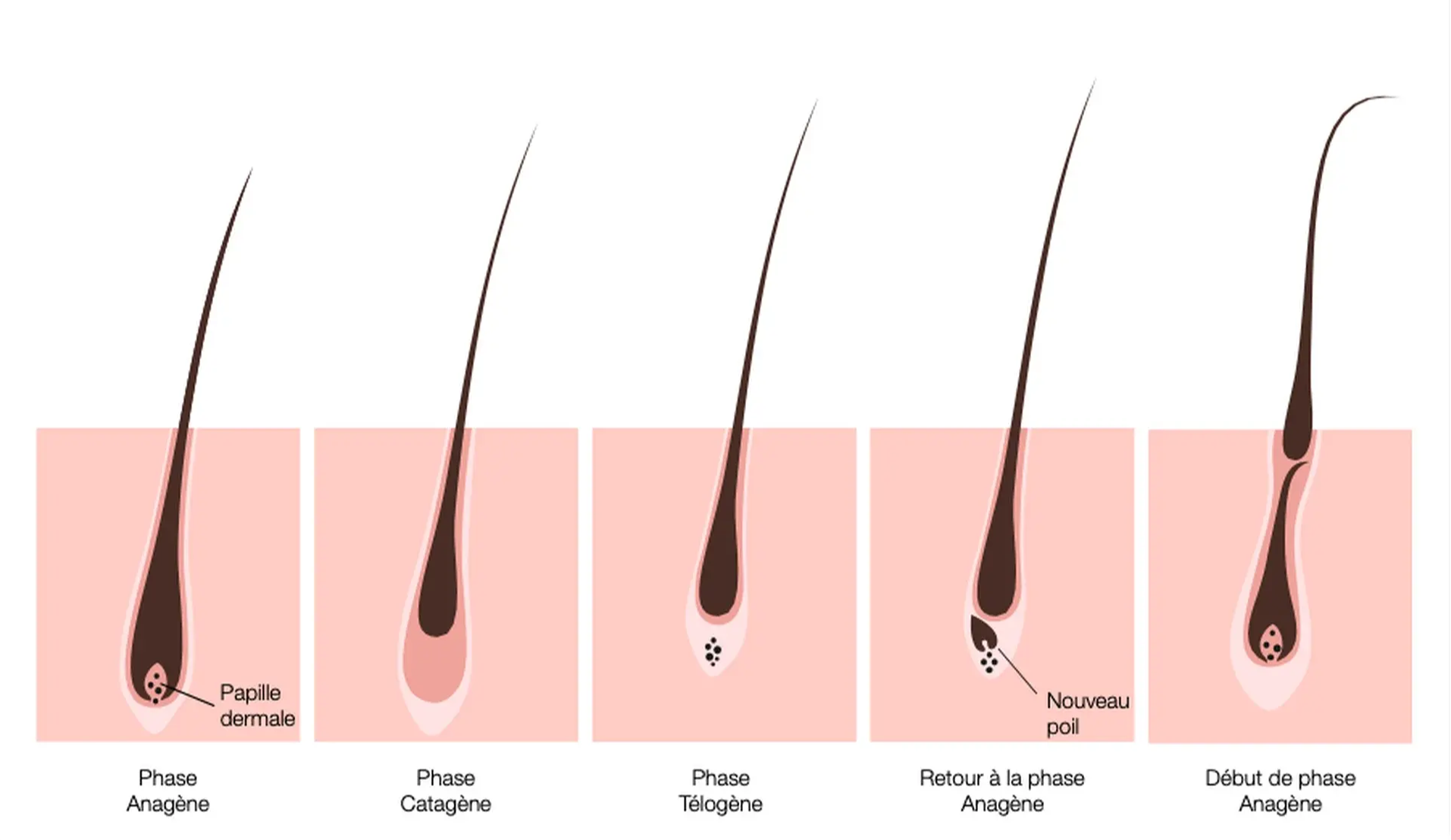 anagene-poil-epilation-laser-homme-paris