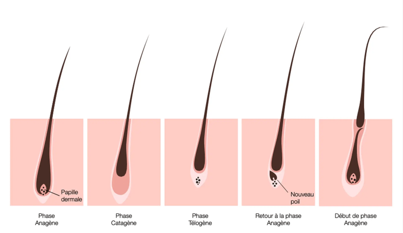 anagene-poil-epilation-laser-homme-paris